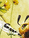 Birds and bees